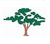 Slay's Trees