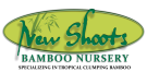 New Shoots Bamboo Nursery