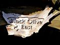 Black Olive East Nursery