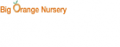 Big Orange Nursery, Inc