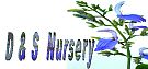 D & S Nursery