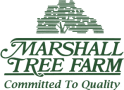 Marshall Tree Farm