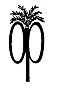 Ornamental Plants and Trees, Inc