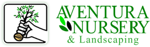 Aventura Nursery Plantant Aventura Nursery