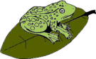 Big Frog Nursery