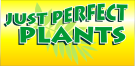 Just Perfect Plants