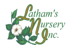 Latham's Nursery