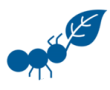 Grandplace Nursery Enterprise, Inc.