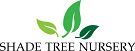 Shade Tree Nursery