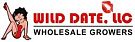 Wild Date LLC.