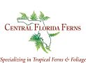 Central Florida Ferns & Foliage