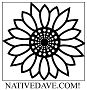 Nativedave, Inc.