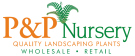 P&P Nursery