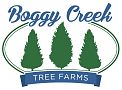 Boggy Creek Tree Farms