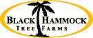 Black Hammock Tree Farm