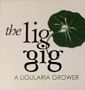 The Lig Gig Nursery LLC
