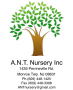 A.N.T. Nursery