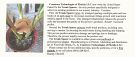 Coastown Technologies of Florida