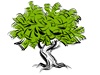 Verdant Tree Farm