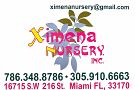 Ximena Nursery