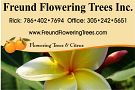 Freund Flowering Trees