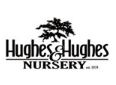 Hughes and Hughes Nursery