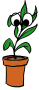 Smarty Plants Nursery LLC