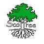 Scottree