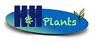 H&H Plants, LLC