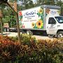 Martin's Wholesale and Retail Nursery