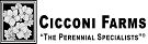 Cicconi Farms Inc.