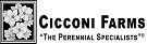 Cicconi Farms Inc.