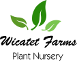 WICATETFARMS.COM