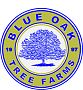 BLUE OAK TREE FARMS