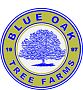 Blue Oak Tree Farms LLC