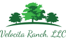 Velocita Ranch, LLC