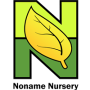 No Name Nursery
