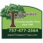 Tidewater Tree Transplanters