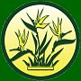 Team Green Nursery