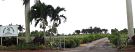 Miguel J Farm LLC