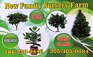 New Family Nursery