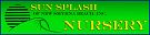 Sun Splash of New Smyrna Beach, Inc.