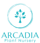 Arcadia Nursery
