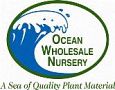 Ocean Wholesale Nursery