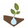 Sierra Vista Nursery