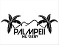 Palmpeii Nursery