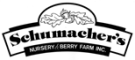 Schumacher's Nursery & Berry Farm