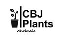 CBJ Wholesaleplants