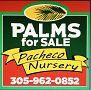 Pacheco nursery