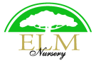 ELM Nursery